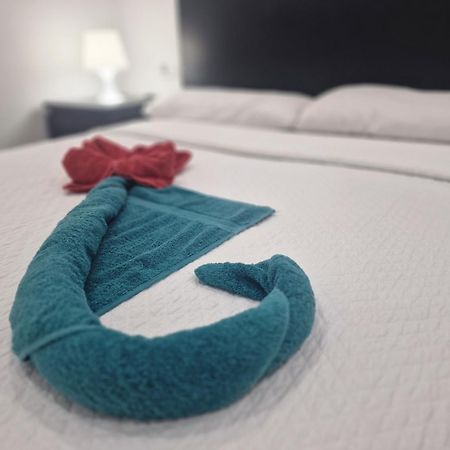 Barcelona,Apartamento Con Terraza Appartement L'Hospitalet de Llobregat Buitenkant foto