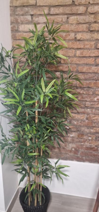 Barcelona,Apartamento Con Terraza Appartement L'Hospitalet de Llobregat Buitenkant foto