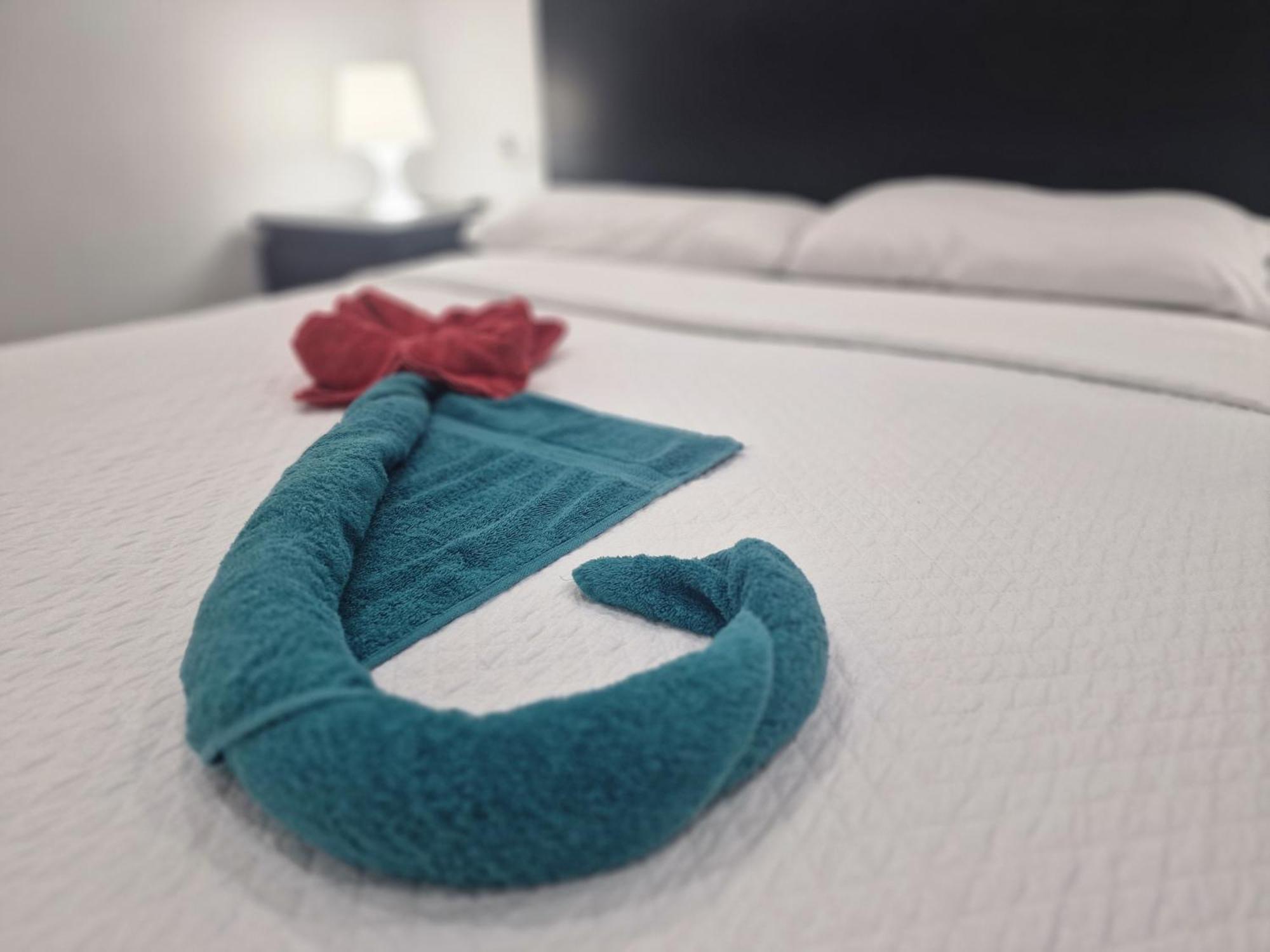 Barcelona,Apartamento Con Terraza Appartement L'Hospitalet de Llobregat Buitenkant foto